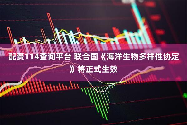 配资114查询平台 联合国《海洋生物多样性协定》将正式生效