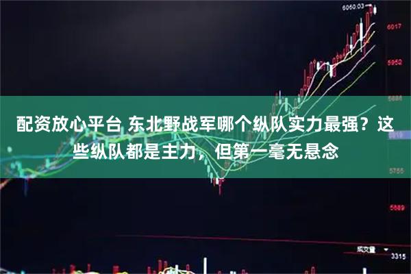 配资放心平台 东北野战军哪个纵队实力最强？这些纵队都是主力，但第一毫无悬念