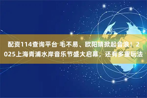 配资114查询平台 毛不易、欧阳靖掀起音浪！2025上海青浦水岸音乐节盛大启幕，还有多重玩法