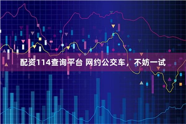 配资114查询平台 网约公交车，不妨一试