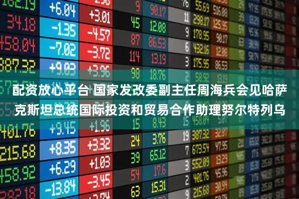 配资放心平台 国家发改委副主任周海兵会见哈萨克斯坦总统国际投资和贸易合作助理努尔特列乌