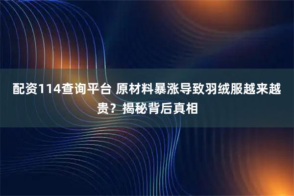 配资114查询平台 原材料暴涨导致羽绒服越来越贵？揭秘背后真相
