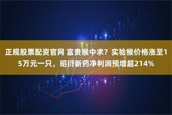 正规股票配资官网 富贵猴中求？实验猴价格涨至15万元一只，昭衍新药净利润预增超214%