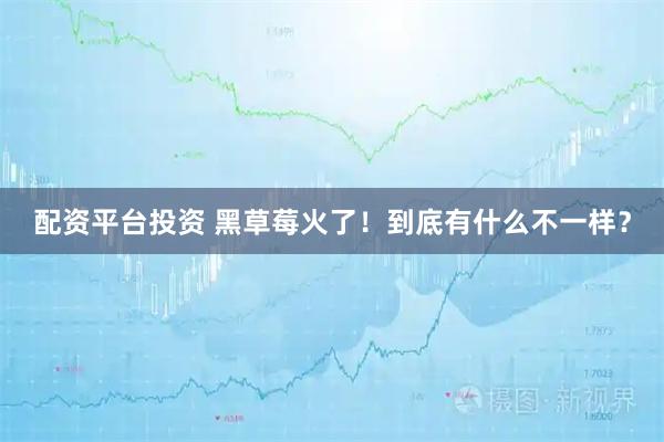 配资平台投资 黑草莓火了！到底有什么不一样？