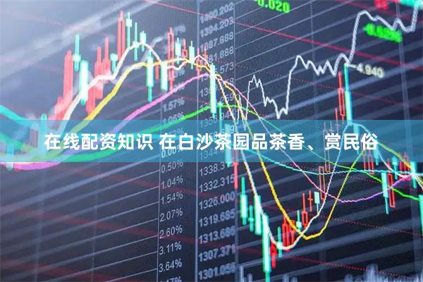 在线配资知识 在白沙茶园品茶香、赏民俗